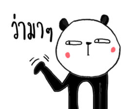 16040295