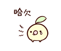 16045484