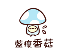 16045498