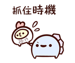 16045500