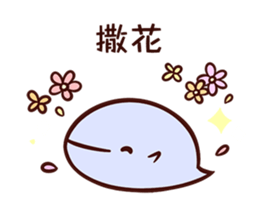 16045505