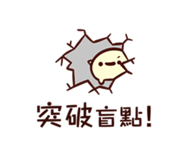 16045509