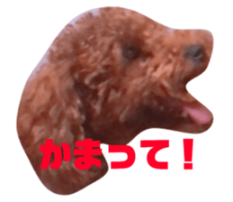 160479398