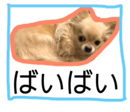 160495213