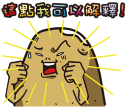 16051635