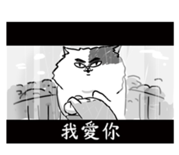 16052635