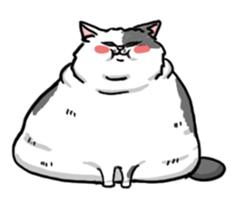 16052653