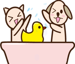 16053419
