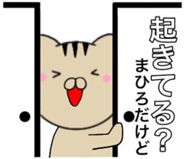 16054906