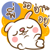 160565037