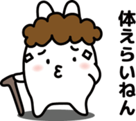 16059391
