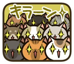 160598524