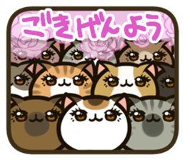 160598541