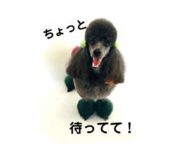160671781