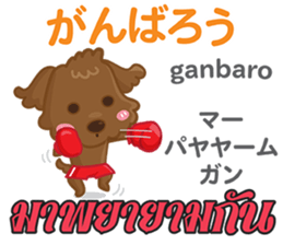 16067988