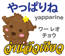 16068005