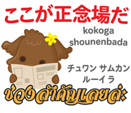 16068014