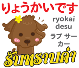 16068024