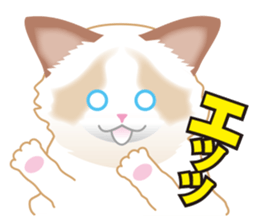1606918