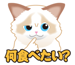 1606920