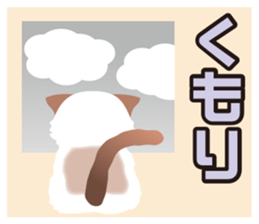 1606926