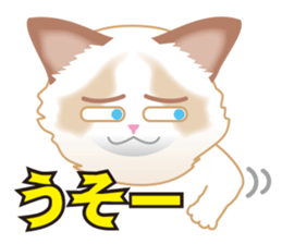 1606932