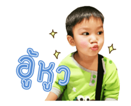 160694548