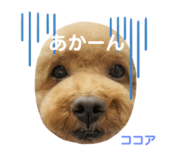 160745547