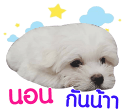 160814735