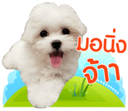 160814738