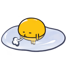 16088842