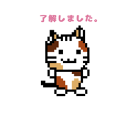 160890956