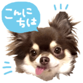 160892028