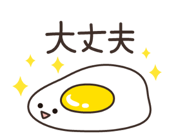 16093405