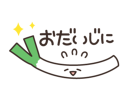 16093420