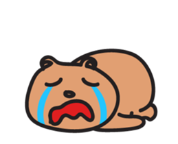 16096375