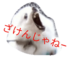 160965783