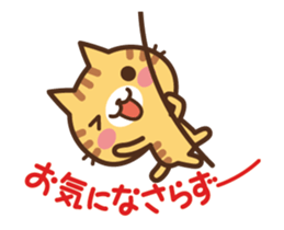 16096901