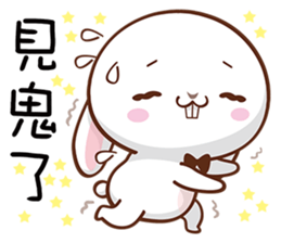 16097144