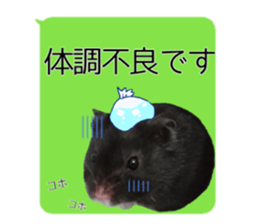 160990371