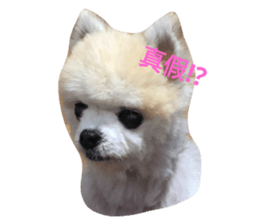 161024350