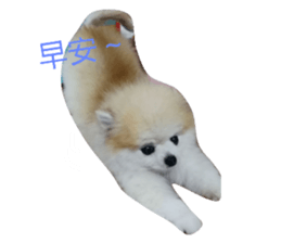 161024351