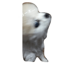 161024357