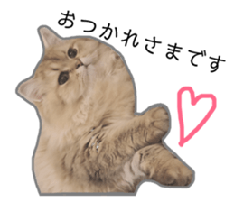 161057561