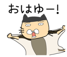 161206360
