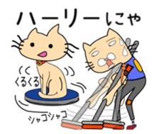 161206396