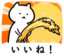 161226664