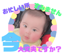 161250420