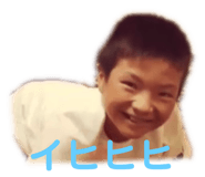 161251318