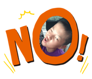 161251323